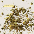 Chamomile Mini Tea Tube