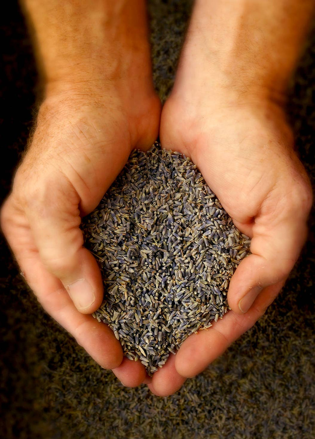 Lavender Bud Sachet - Gracefully Given